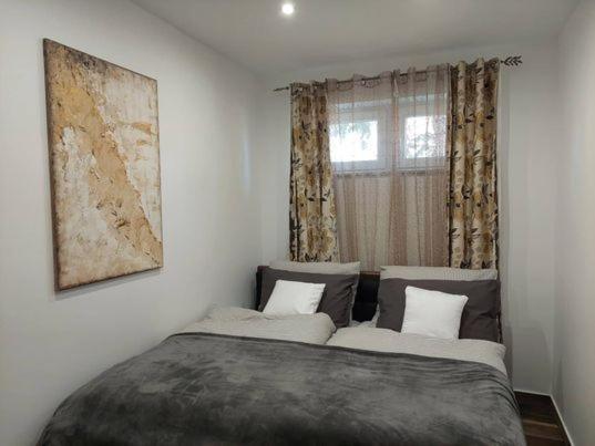 Dr Becsey Luxury Apartman Bekescsaba Exterior photo